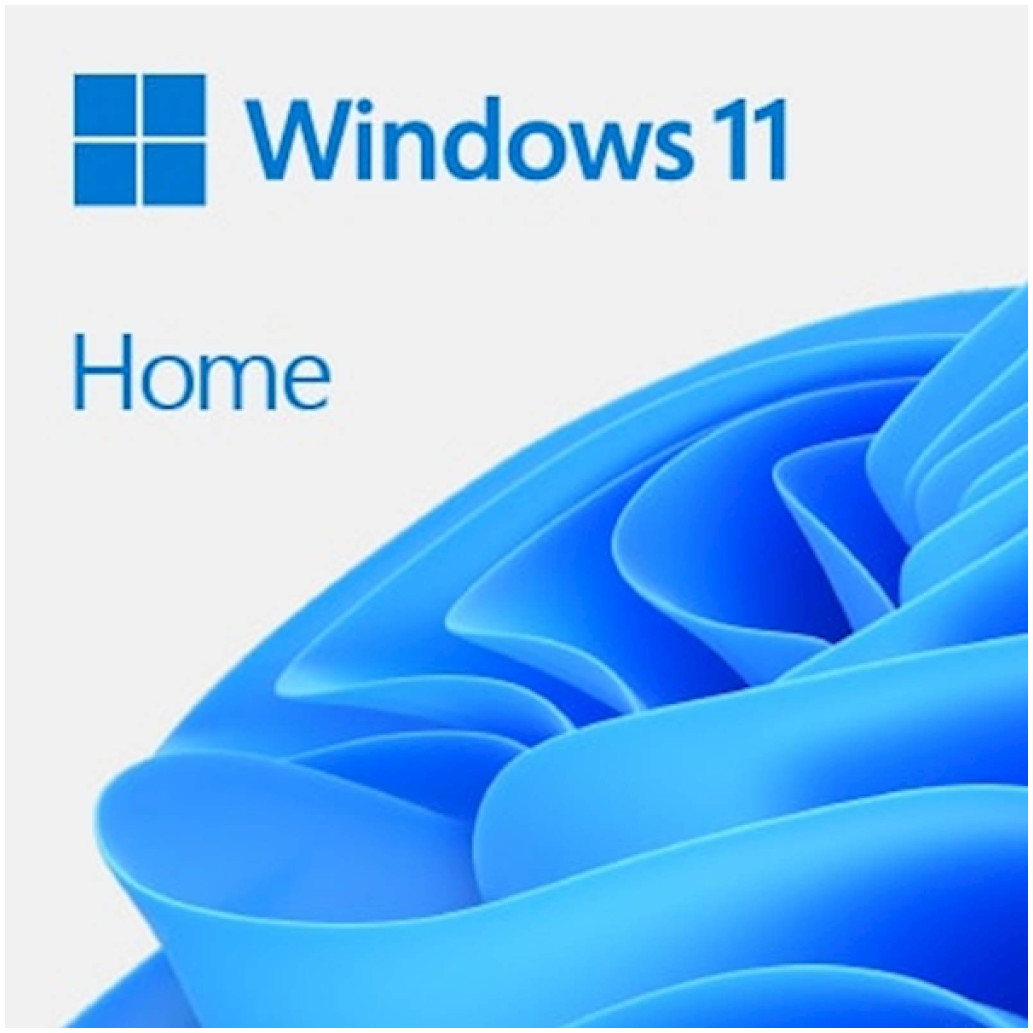 DSP Windows 11 Home